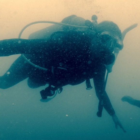 Meet your Posher, Caitlin dani - Picture 1 of 1